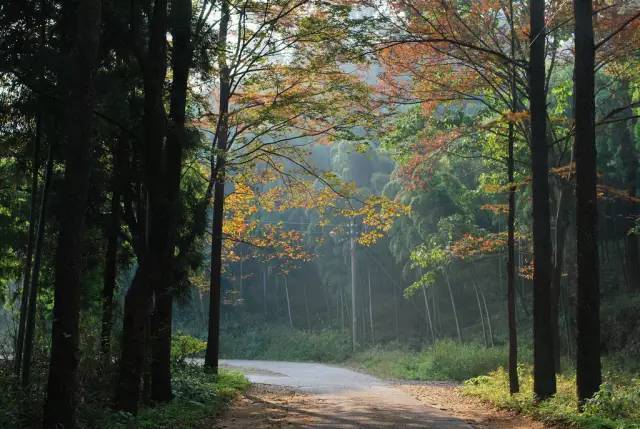 莫干山