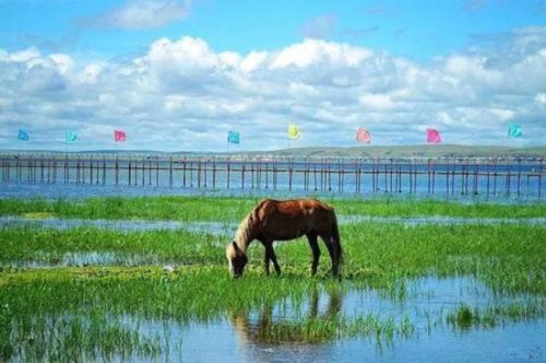 内蒙古旅游最值得去的16个地方,太美了