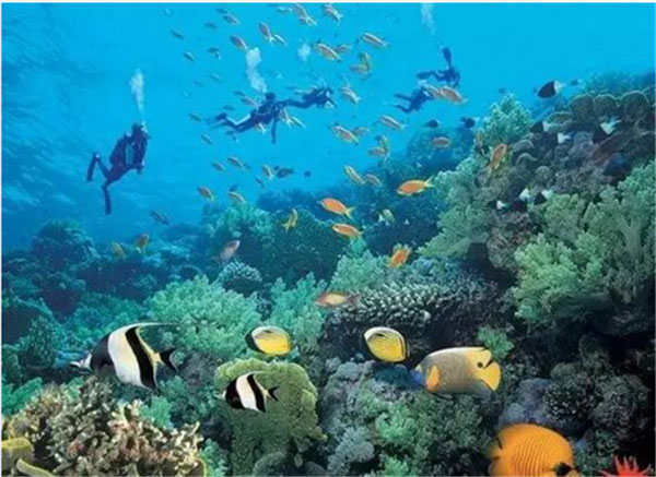 浪漫海岛不是《太阳的后裔》里才有 浪漫海岛不是《太阳的后裔》里才有