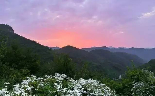 跟着春姑娘的脚步，周末来云台山踏青吧（春姑娘踏着轻盈的脚步,向我们走来了）