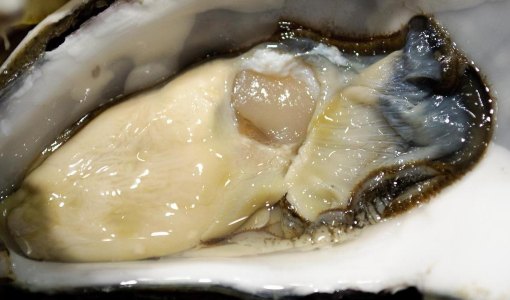 锅煽海蛎子