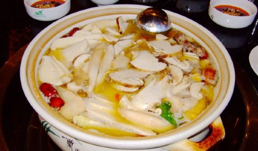 野生菌