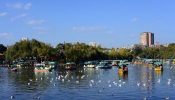 翠湖公园