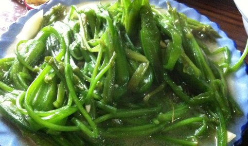 水性杨花