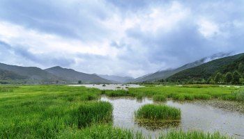 草海