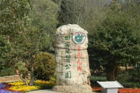 九乡
