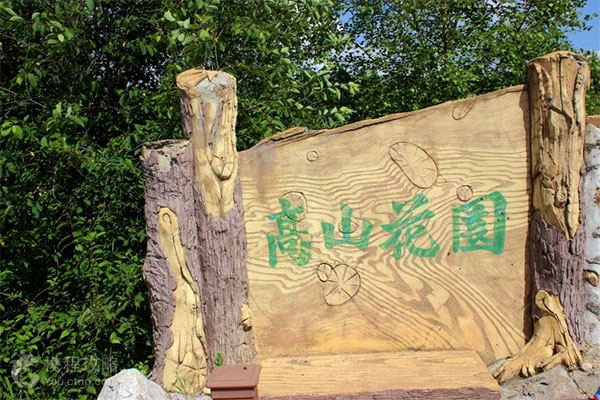 吉林-长白山-西坡景区-高山花园