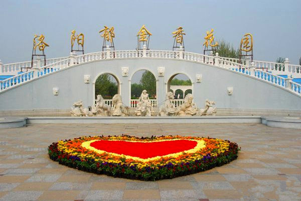 洛阳郁金香花园 洛阳郁金香花园