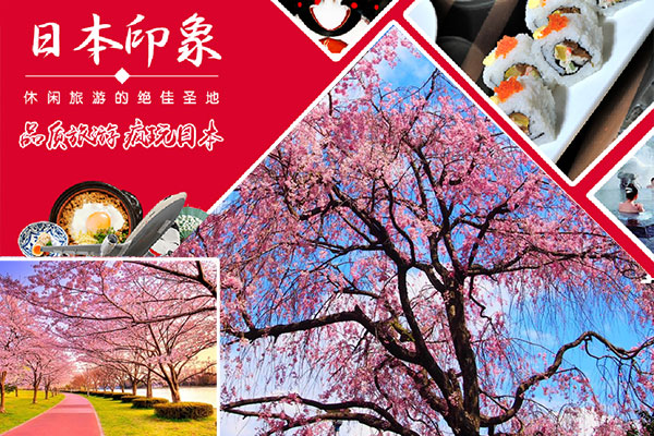 日本樱花祭品质游