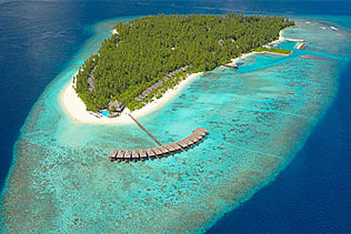 菲利兹优岛 Filitheyo Island Resort Maldives