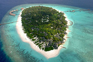 瓦度岛 Adaaran Prestige Vadoo Island Resort