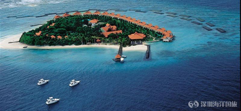 泰姬珊瑚岛 Vivanta Coral Reef Resort by Taj