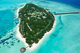蜜月岛 Meeru Island Resort