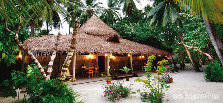 钻石A岛/钻石阿莎格岛 Athuruga Diamonds Island Resort